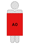 a0