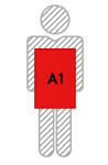 a1